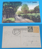 Carte Postala circulata veche anul 1924 - Oradea Mare - Calea Dorobantilor, Sinaia, Printata