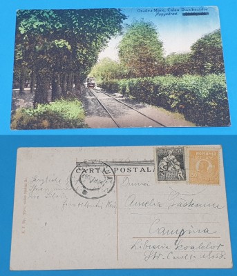 Carte Postala circulata veche anul 1924 - Oradea Mare - Calea Dorobantilor foto