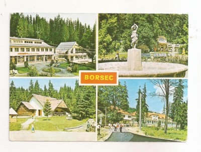 RF76 -Carte Postala - Borsec, circulata 1979 foto