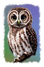 Sticker decorativ Bufnita, Maro, 85 cm, 11313ST foto