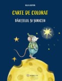 Carte de colorat. Băiețelul și șoriceii - Olga Gudynn