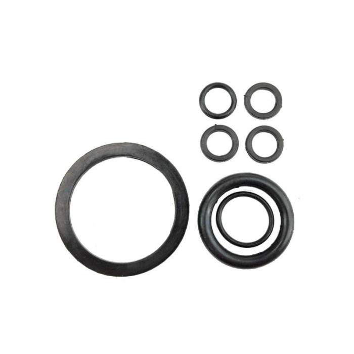 89545 FLO Set garnituri pulverizator