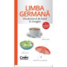 Vocabularul de baza in imagini - Limba germana foto