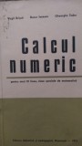 Calcul numeric pentru anul 3 speciala de matematica V.Brisca 1973