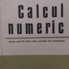 Calcul numeric pentru anul 3 speciala de matematica V.Brisca 1973