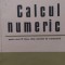 Calcul numeric pentru anul 3 speciala de matematica V.Brisca 1973