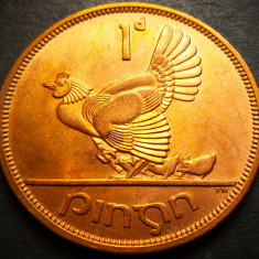 Moneda istorica 1 PENNY / PINGIN - IRLANDA, anul 1968 *cod 3363 = UNC