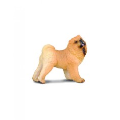 Chow Chow - Collecta