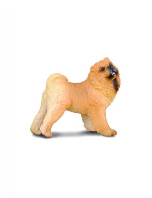 Chow Chow - Collecta foto