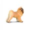 Chow Chow - Collecta