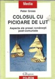 Colosul cu picioare de lut. Aspecte ale presei romanesti post-comuniste - Peter Gross