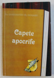 CAPETE APOCRIFE de PR. CONSTATIN ST . DOGARU, 2004