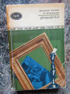 Giuseppe Tomasi di Lampedusa - Ghepardul foto