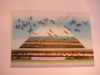 QW24 D - Carte postala - tematica turism - vedere - Delta Dunarii 6, Necirculata, Fotografie, Tulcea
