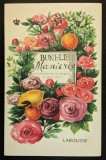 BUNELE MANIERE Enciclopedie de Stil Eleganta si Savoir Vivre &ndash; Sabine Denuelle 549 pag. 2017 Larousse 21x14cm Stare ca noua