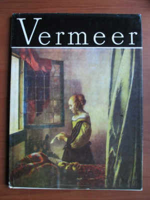 Vasile Nicolescu - Vermeer foto