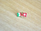 QW9 N3 13 - insigna - steaguri - Ungaria - Hong Kong