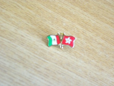 QW9 N3 13 - insigna - steaguri - Ungaria - Hong Kong foto