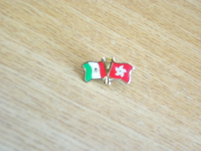 QW9 N3 13 - insigna - steaguri - Ungaria - Hong Kong