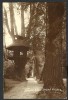 CARTE POSTALA RAMNICU-VALCEA --ZAVOIU .ALEEA STRAND --Circulata 1939, Fotografie
