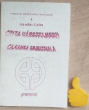 Criza varstei medii ca sansa spirituala Anselm Grun