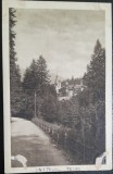 Carte postala, Sinaia, Castelul Peles, perioada interbelica