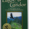 THE EAGLE and THE CONDOR , A TRUE STORY OF AN UNEXPECTED MYSTICAL JOURNEY by JONETTE CROWLEY , 2007