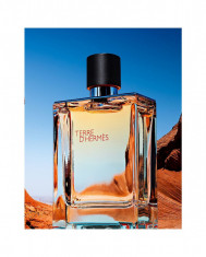 Hermes -TERRE D&amp;#039;HERMES 100 ml | Parfum Tester foto