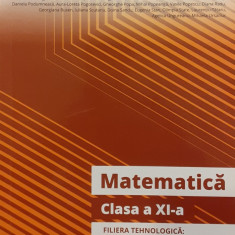 Matematica Clasa a XI-a Filiera tehnologica: servicii, resurse si tehnic