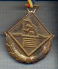 AX 136 MEDALIE -SPORTIVA - CAIAC-CANOE -CRITERIUL SPERANTELOR -ROMANIA