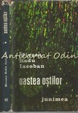 Oastea Ostilor - Mircea Radu Iacoban, Junimea, 1980, Roman, Beletristica, Carte, Editie Cartonata