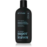 Attitude Super Leaves Men's Shampoo and Conditioner 2-in-1 sampon si balsam 2 in 1 pentru barbati Eucalyptus &amp; Sage 415 ml