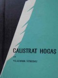 CALISTRAT HOGAS-VLADIMIR STREINU