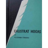 CALISTRAT HOGAS-VLADIMIR STREINU-230215
