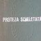 Proteza scheletata- Lucian Ene, Andrei Ionescu