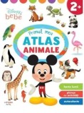 Cumpara ieftin Primul meu atlas. Animale/***