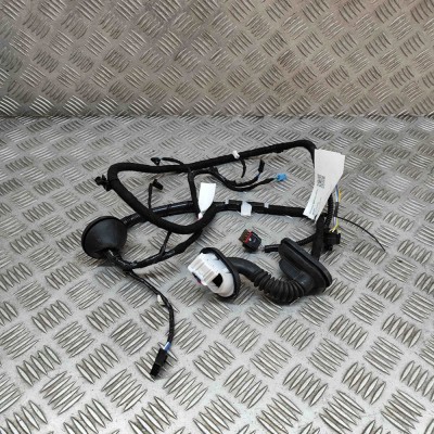 Cablaj ușă dreapta spate TESLA MODEL 3 2022 OEM: 2067966-00-B 25408446 foto