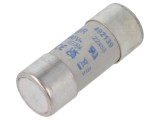 Siguranță cilindrică 80A 690V AC 446V DC 22x58mm DF ELECTRIC