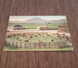 Carte Poștală Veche &ndash; Western Ranch și Cattle Corral, Expediată &icirc;n Franța, Timbru Canadian, Scrisoare &icirc;n Franceză, Colecție Rară!, Circulata, Printata