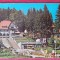 CPIB 23451 CARTE POSTALA - PREDEAL, CONSILIUL POPULAR, COFETARIE, CIRCULATA, STAMPILE, TIMBRU