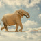 Tablou canvas Elefant acrobat, 45 x 30 cm