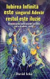 Iubirea infinită este singurul adevăr, restul este iluzie - Paperback brosat - David Icke - Daksha