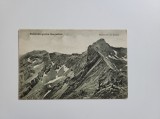 Cartofilie Carte Postala - S.K.V. Vanatorea Lui Butean. Foto E. Fischer, Sibiu, Siebenburgisch Karpathen