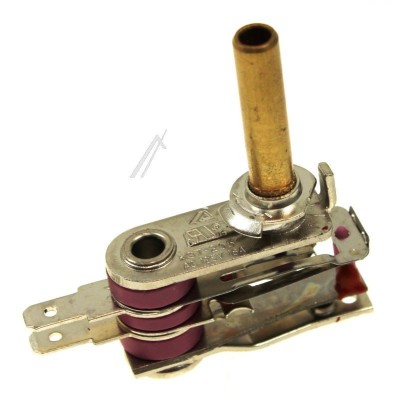 TERMOSTAT E0P2473 HORECA BARTSCHER foto