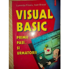 Visual basic Primii pasi ...si urmatorii - Luminita Finaru, Ioan Brava