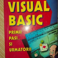 Visual basic Primii pasi ...si urmatorii - Luminita Finaru, Ioan Brava