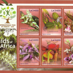 Sierra Leone 2011-Flora,Orhidee,Bloc 6 valori dantelate,MNH,Mi.5533-5538KB