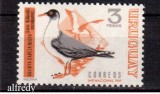 URUGUAY 1969, Fauna - Pasari, serie neuzata, MNH, Nestampilat