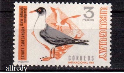 URUGUAY 1969, Fauna - Pasari, serie neuzata, MNH foto