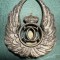 Insigna observator aerian Carol 2 perioada 1930 1940 varianta argintata